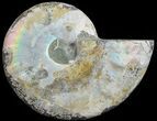 Agatized Ammonite Fossil (Half) #68826-1